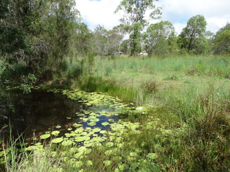 Lot 2 Neils Road, Rosedale QLD 4674