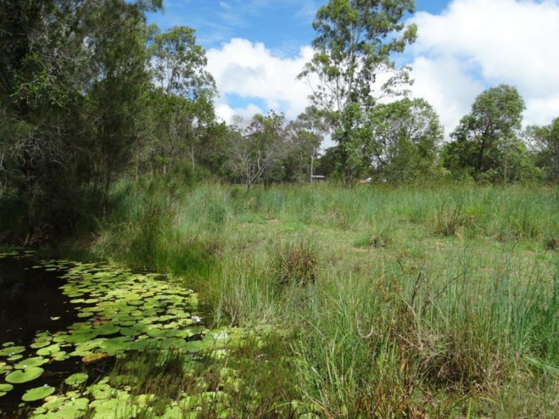 Lot 2 Neils Road, Rosedale QLD 4674