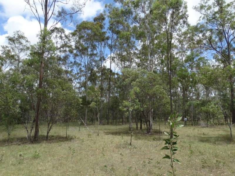 Lot 20 Tableland Road, Mount Maria QLD 4674