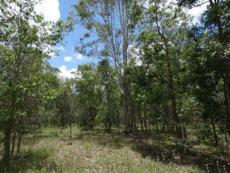 Lot 20 Tableland Road, Mount Maria QLD 4674