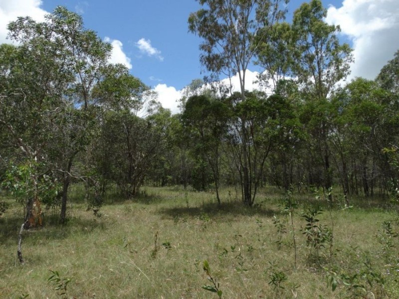 Lot 20 Tableland Road, Mount Maria QLD 4674
