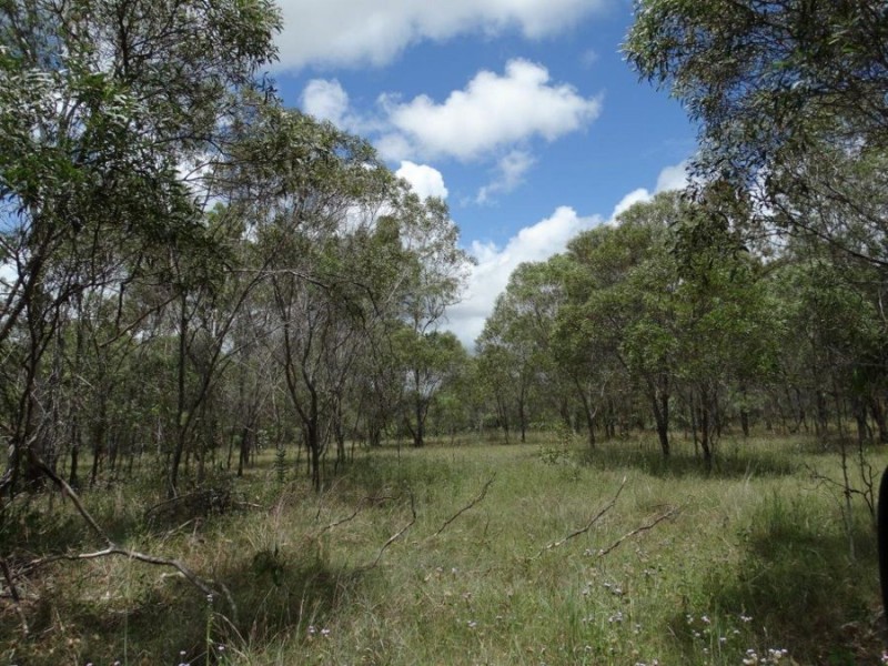 Lot 20 Tableland Road, Mount Maria QLD 4674