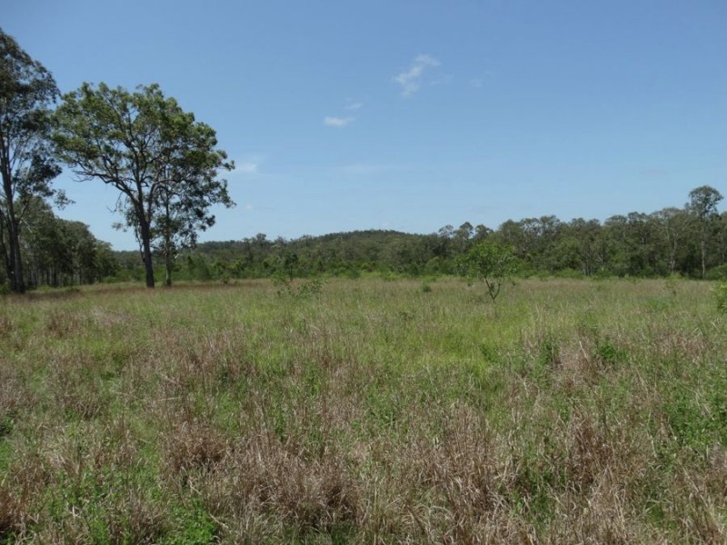 1298 Monduran Road, Waterloo QLD 4673