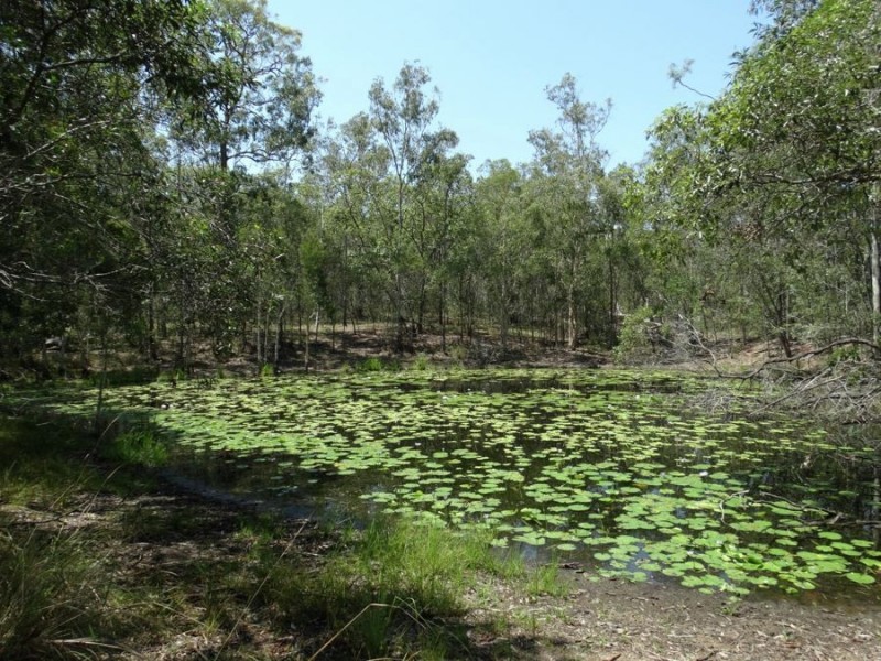 1298 Monduran Road, Waterloo QLD 4673