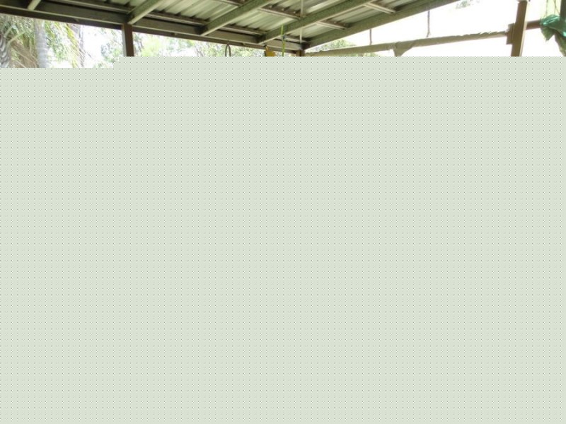 1298 Monduran Road, Waterloo QLD 4673