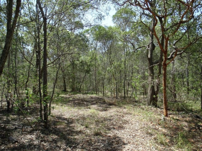 1298 Monduran Road, Waterloo QLD 4673