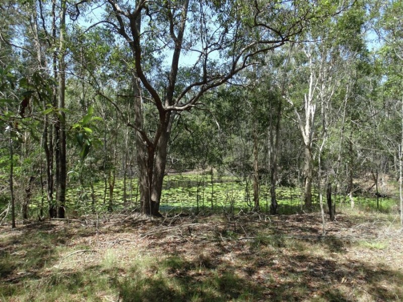 1298 Monduran Road, Waterloo QLD 4673