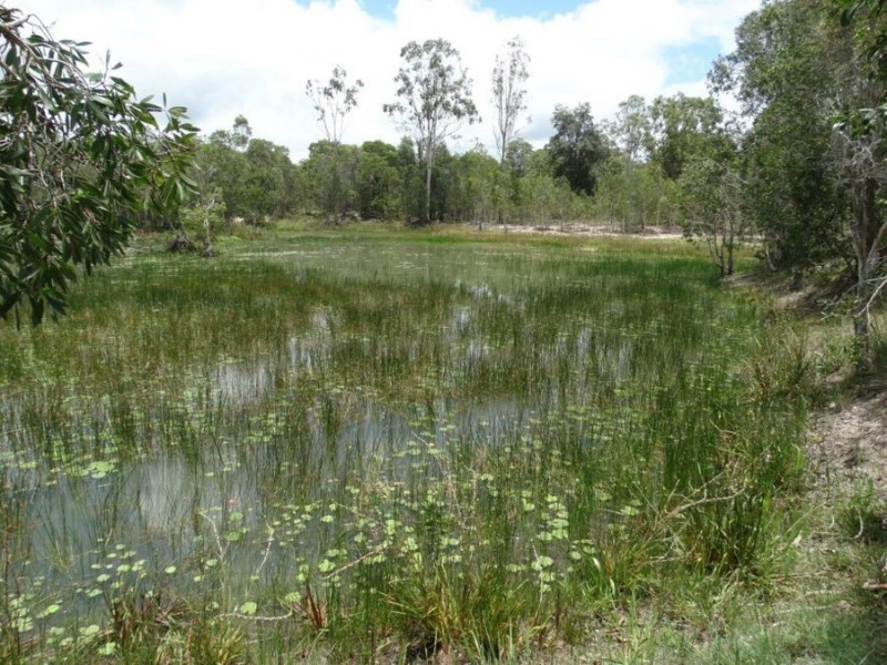 1030 Round Hill Road, Captain Creek QLD 4677