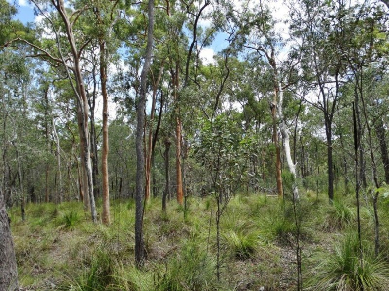 1030 Round Hill Road, Captain Creek QLD 4677