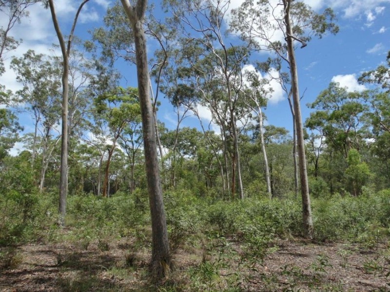 1030 Round Hill Road, Captain Creek QLD 4677