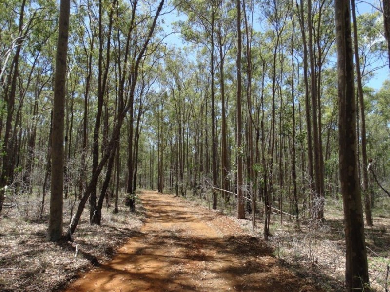 Lot 72 Bundaberg Lowmead Road, Yandaran QLD 4673