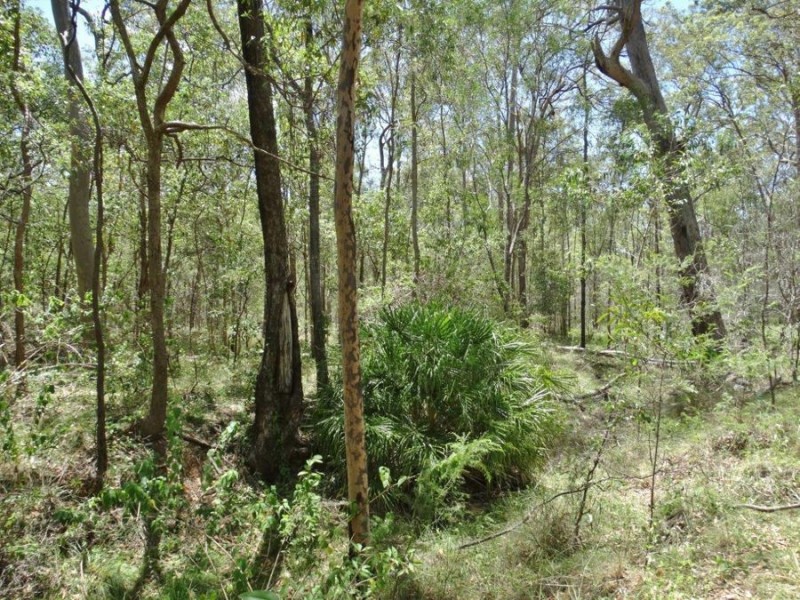 Lot 72 Bundaberg Lowmead Road, Yandaran QLD 4673