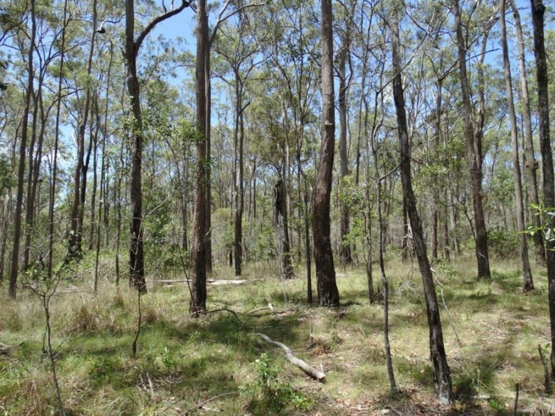 Lot 72 Bundaberg Lowmead Road, Yandaran QLD 4673