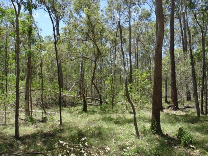 Lot 72 Bundaberg Lowmead Road, Yandaran QLD 4673
