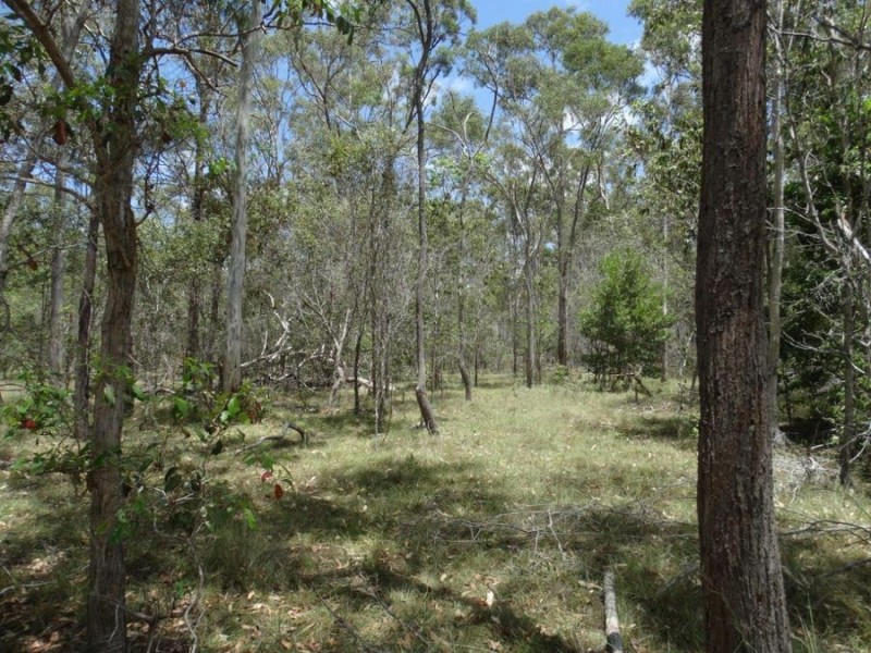 Lot 72 Bundaberg Lowmead Road, Yandaran QLD 4673
