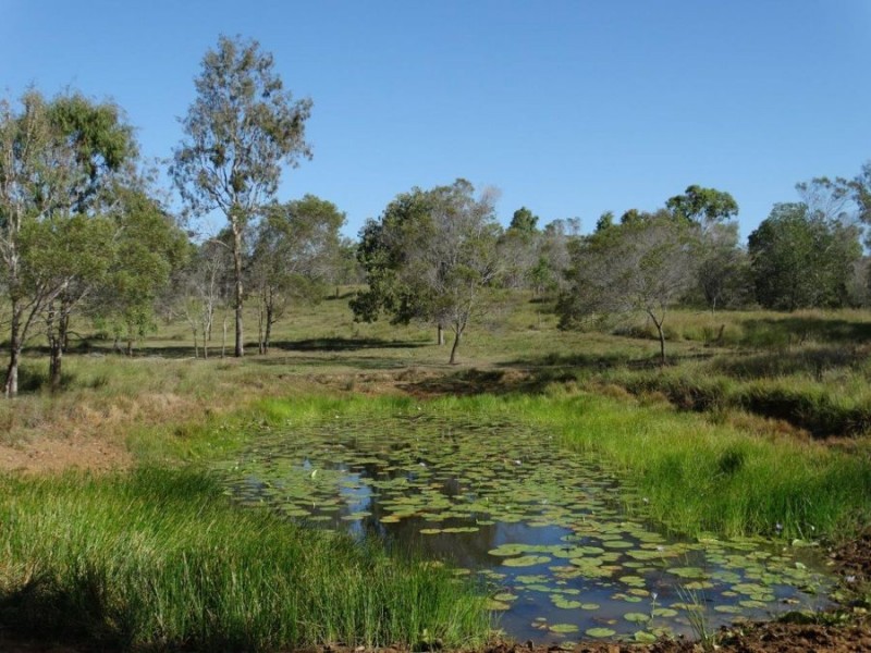 491 Ferry Road, Rosedale QLD 4674