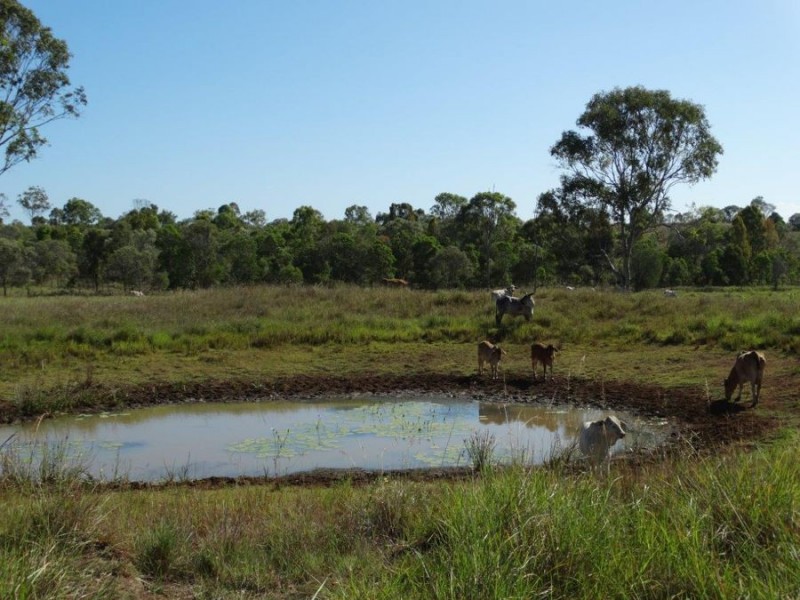 491 Ferry Road, Rosedale QLD 4674