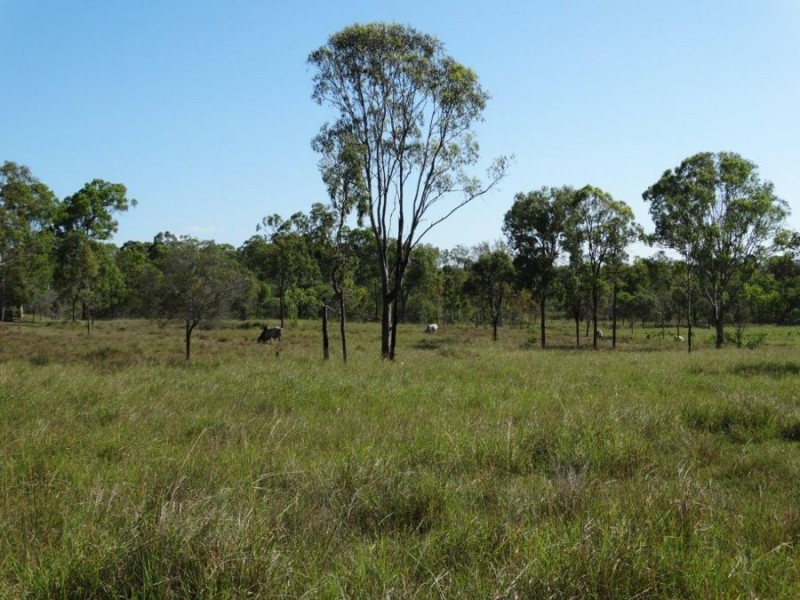 491 Ferry Road, Rosedale QLD 4674