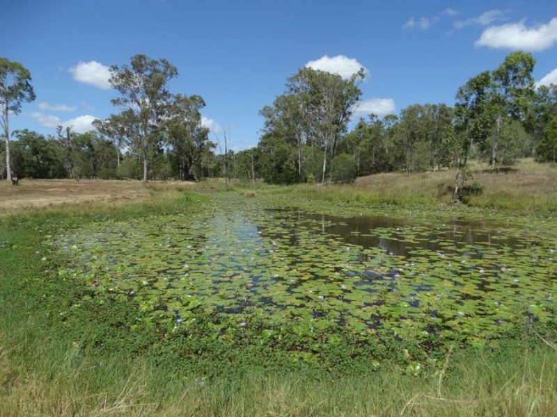 1019 Tableland Road, Mount Maria QLD 4674
