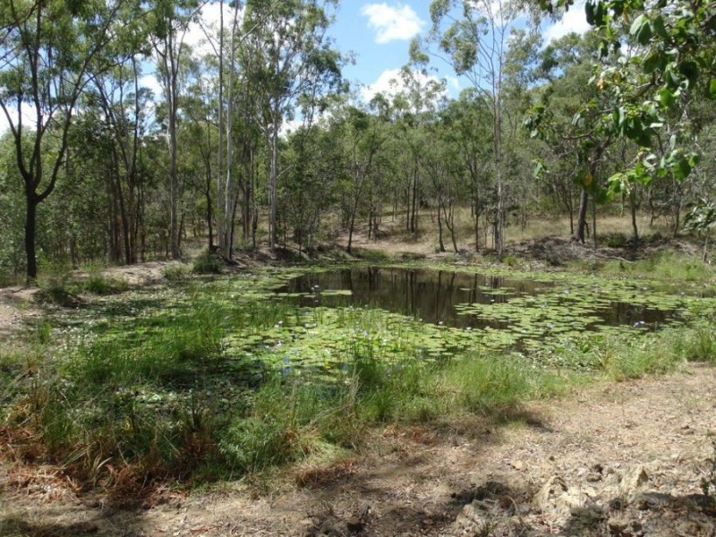 1019 Tableland Road, Mount Maria QLD 4674