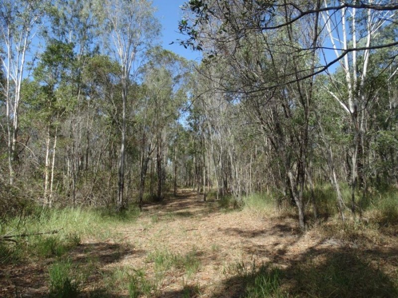 Lot 4 Lower Waterloo Road, Yandaran QLD 4673