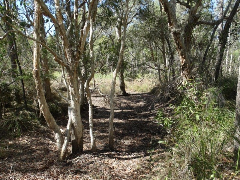 Lot 4 Lower Waterloo Road, Yandaran QLD 4673