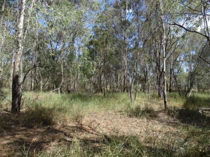 Lot 4 Lower Waterloo Road, Yandaran QLD 4673