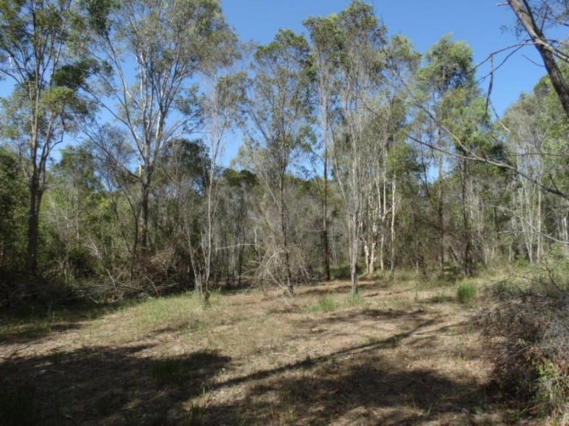 Lot 4 Lower Waterloo Road, Yandaran QLD 4673