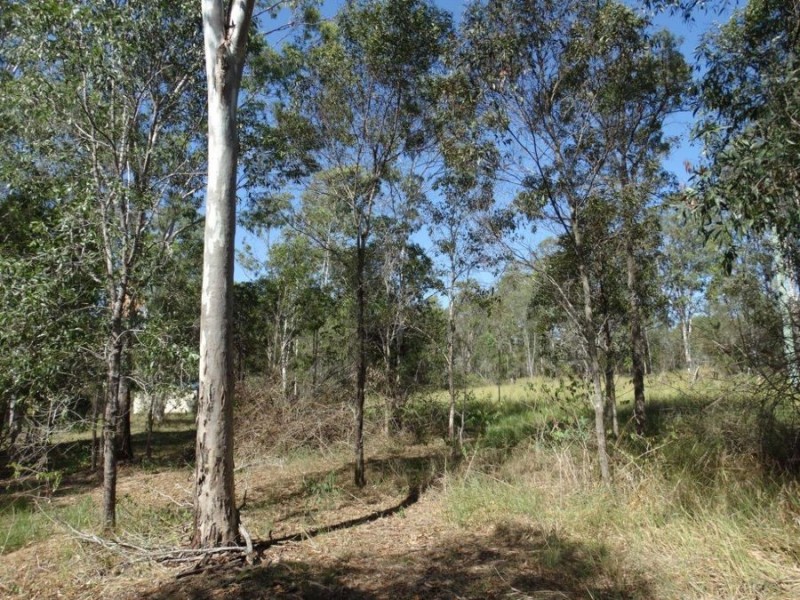 Lot 4 Lower Waterloo Road, Yandaran QLD 4673