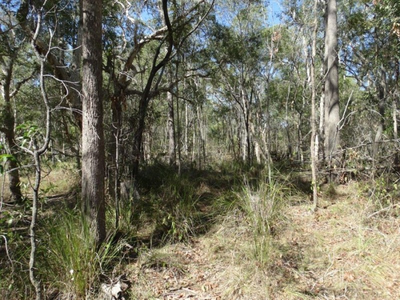 Lot 4 Lower Waterloo Road, Yandaran QLD 4673