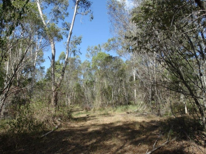 Lot 4 Lower Waterloo Road, Yandaran QLD 4673