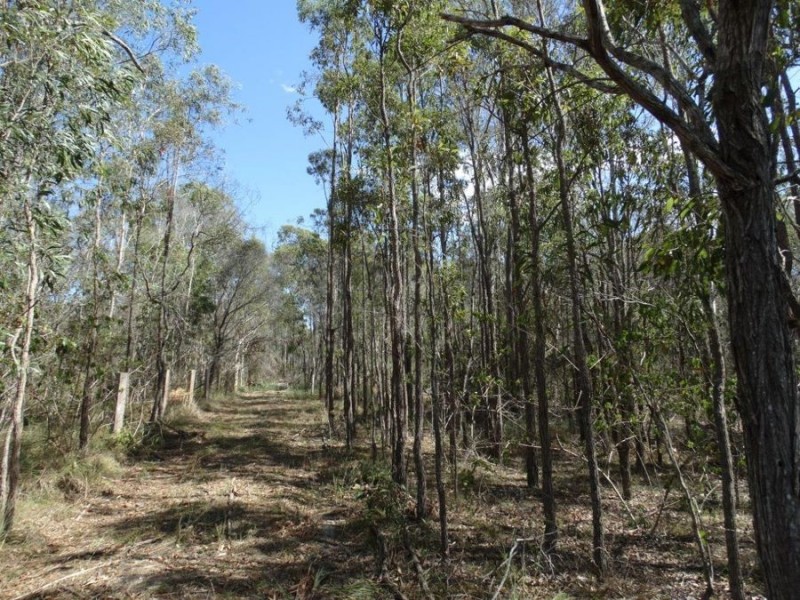 Lot 4 Lower Waterloo Road, Yandaran QLD 4673