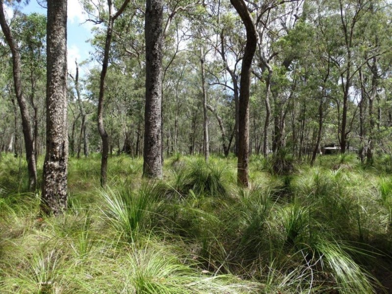 595 Pacific Drive, Deepwater QLD 4674