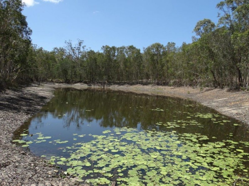 595 Pacific Drive, Deepwater QLD 4674