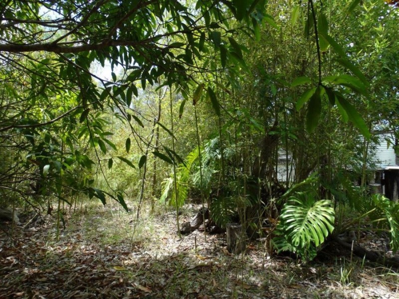 595 Pacific Drive, Deepwater QLD 4674