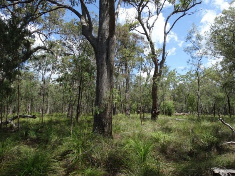 595 Pacific Drive, Deepwater QLD 4674