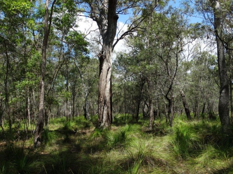 595 Pacific Drive, Deepwater QLD 4674