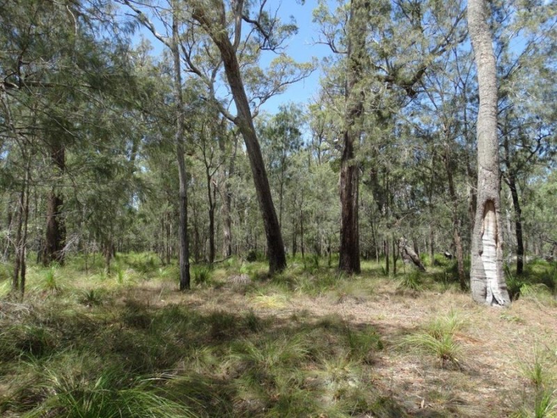 595 Pacific Drive, Deepwater QLD 4674