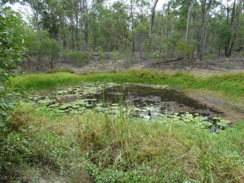 232 Mineral Road, Rosedale QLD 4674