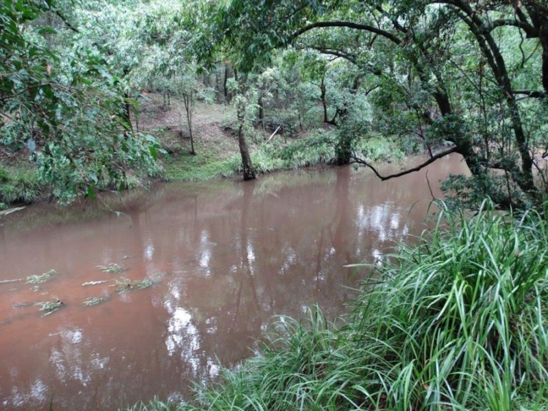 313 Gorge Road, Lowmead QLD 4676