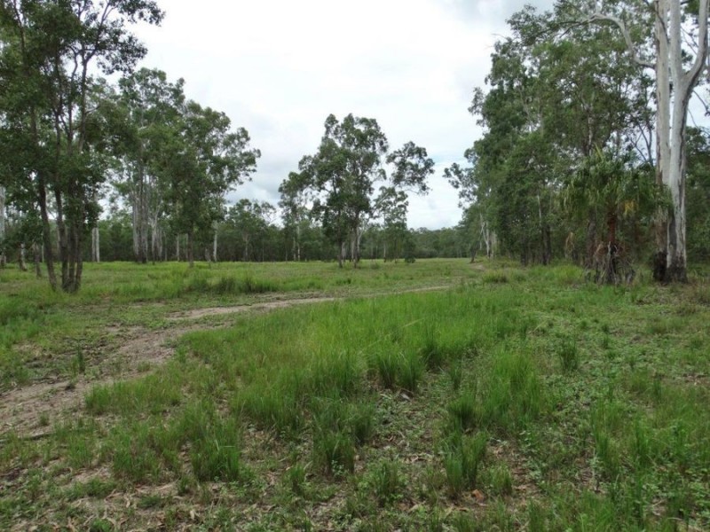 313 Gorge Road, Lowmead QLD 4676