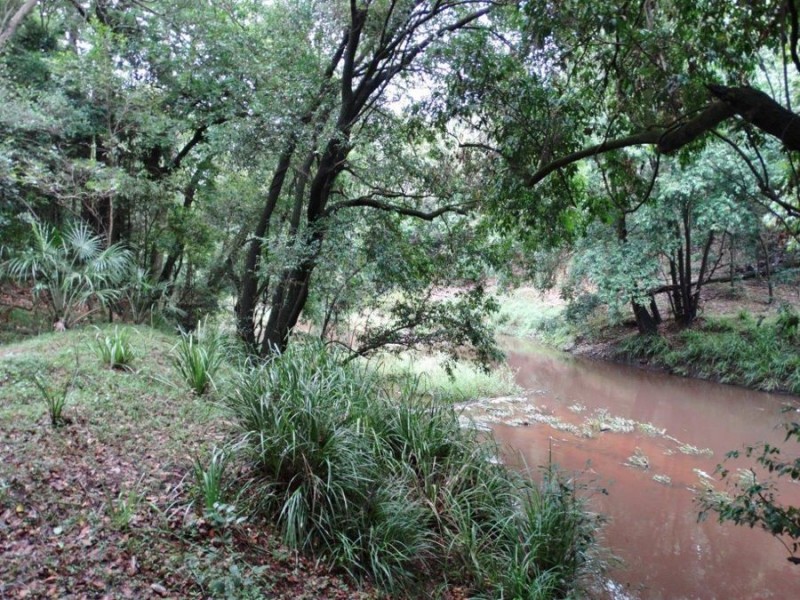 313 Gorge Road, Lowmead QLD 4676