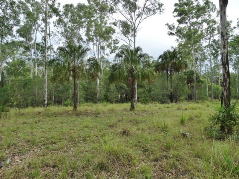 313 Gorge Road, Lowmead QLD 4676
