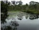 1549 Coast Road, Baffle Creek QLD 4674