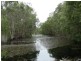 1549 Coast Road, Baffle Creek QLD 4674