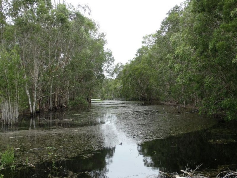 1549 Coast Road, Baffle Creek QLD 4674