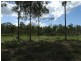 Lot 5 Mollenhagens Road, Rosedale QLD 4674