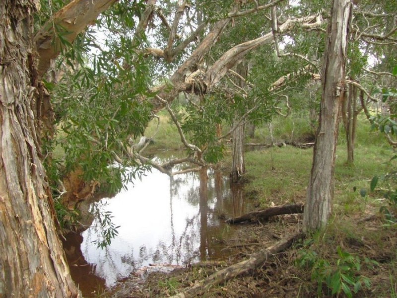 Lot 5 Mollenhagens Road, Rosedale QLD 4674