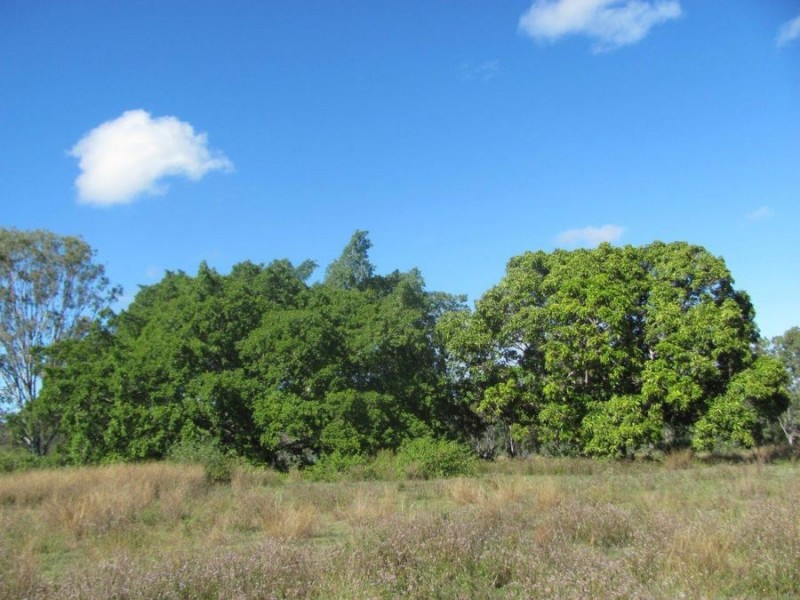Lot 2 Coast Road, Baffle Creek QLD 4674