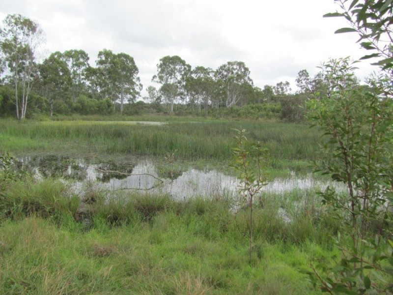 Lot 2 Coast Road, Baffle Creek QLD 4674